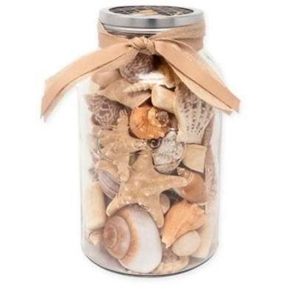 10.5” H Lumiere Potpourri Mason Jar